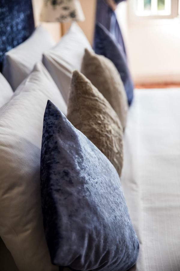 La Residence Chambre D'Hotes Сент-Антонен Екстериор снимка